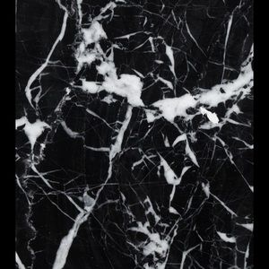 Meet your Posher, Lexi